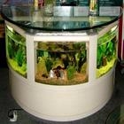 TAVOLO ACQUARIO DESIGN TAVOLO ACQUARIO DESIGN