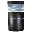 ACQUARIO PER MEDUSE ACQUARIO PER MEDUSE