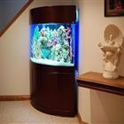 ACQUARIO DESIGN ACQUARIO DESIGN