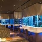 ACQUARIO DESIGN ACQUARIO DESIGN