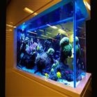 ACQUARIO DESIGN ACQUARIO DESIGN